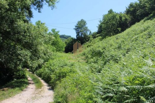 ZEMLJIŠTE 7000 m2 – BIOČA (ILIJAŠ)