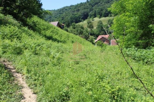 ZEMLJIŠTE 7000 m2 – BIOČA (ILIJAŠ)